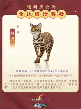 天龙八部私服 元宝